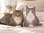 Custom Pet Pillow from Photo