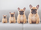 Custom Pet Pillow from Photo